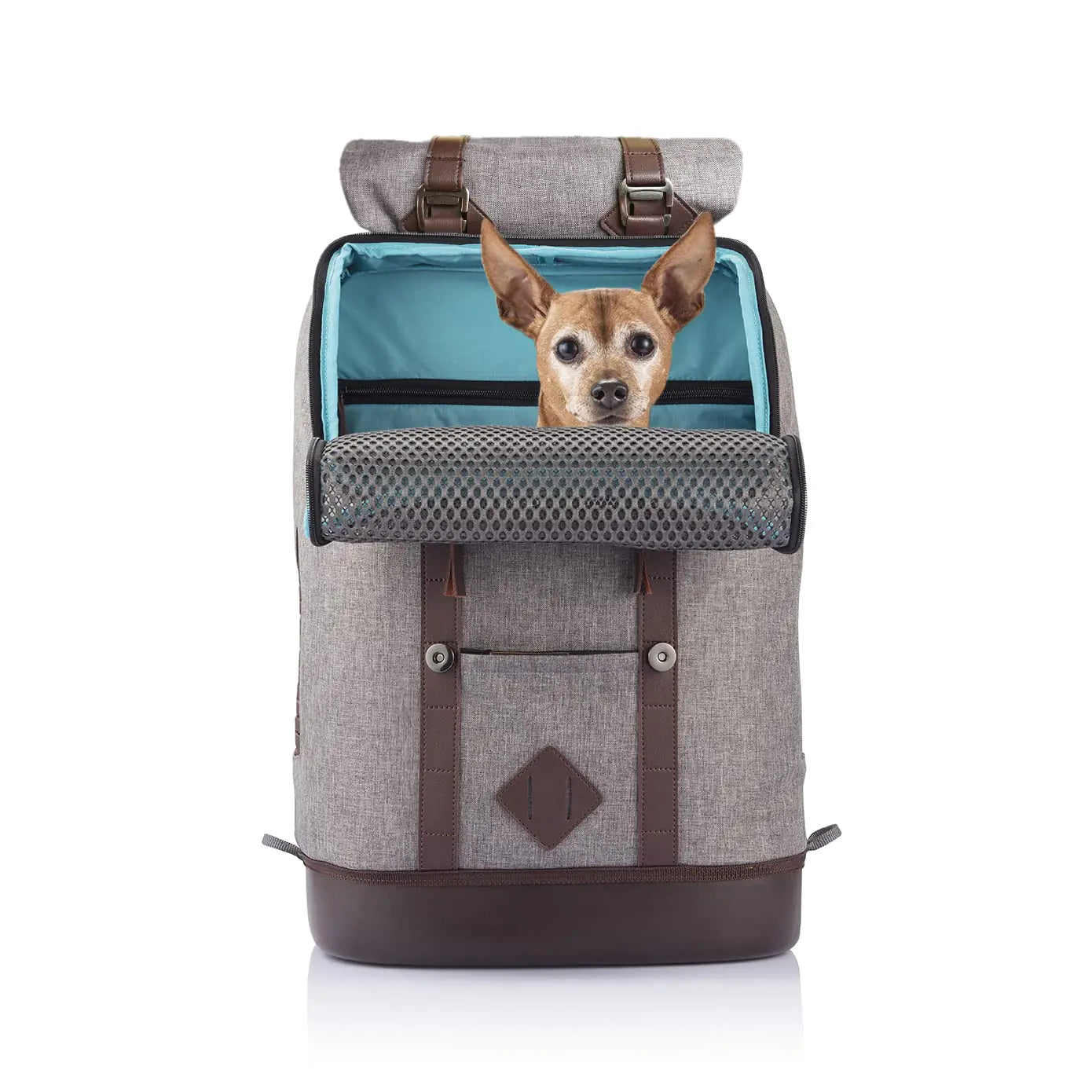 Pup ‘n Ruck Sack: The Ultimate Sling-Style Dog Carrier Backpack! 🐶🎒